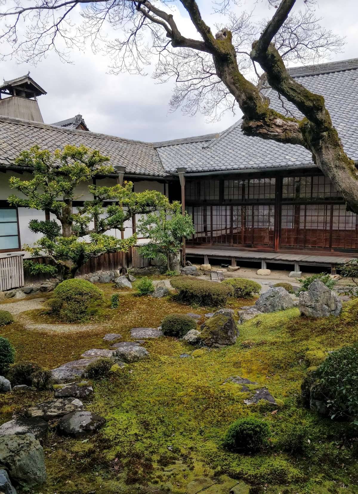 Daigo-ji : Cherry Blossom Spot in Kyoto | Travel Guide