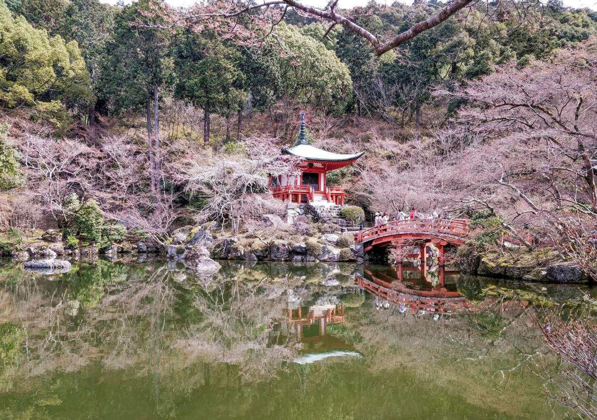 Daigo-ji : Cherry Blossom Spot in Kyoto | Travel Guide